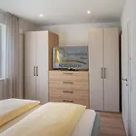 Luettje Steern 5 Sterne *